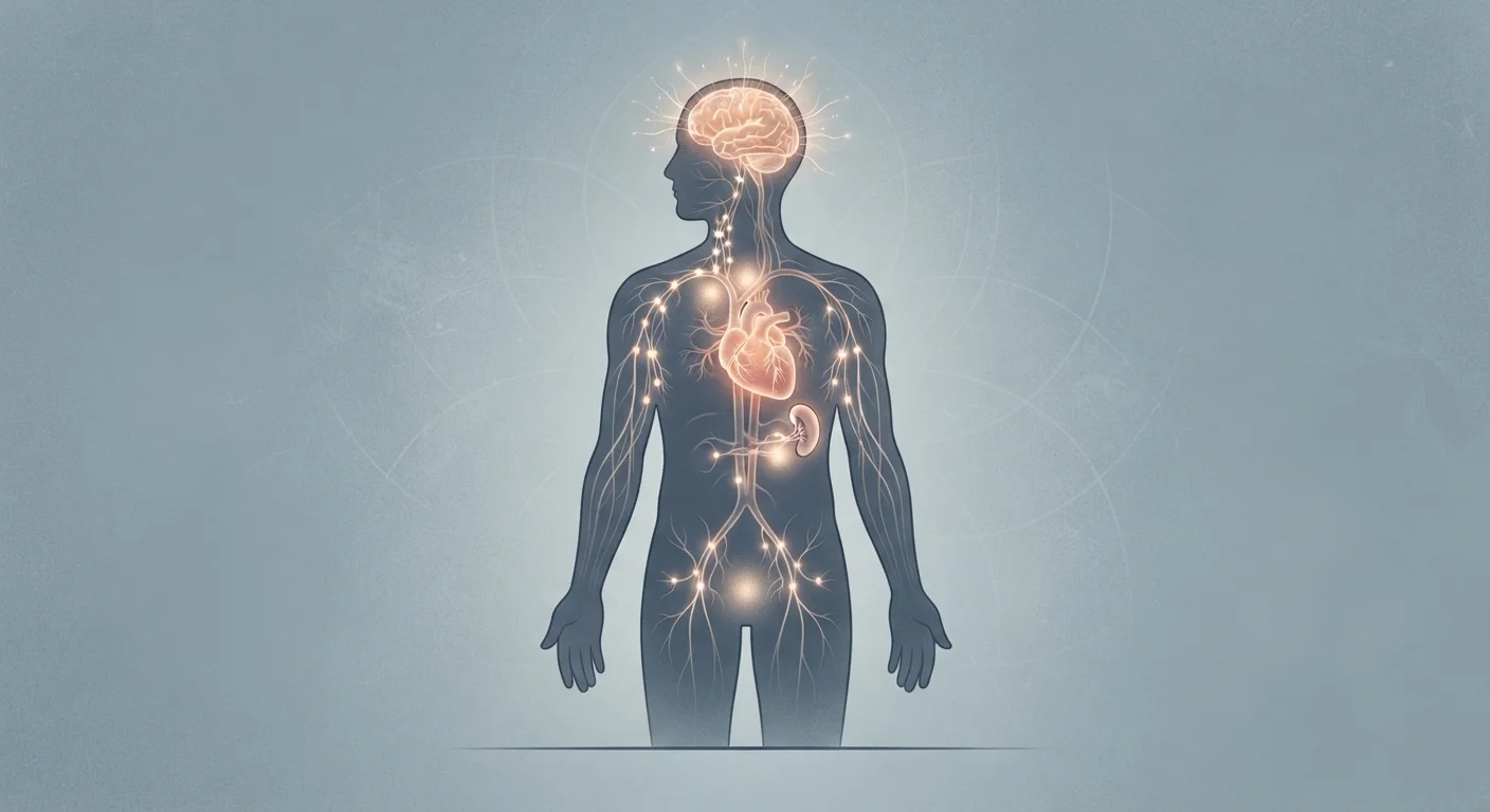 Stress and Physical Health: Understanding the Body's Long-Term Response